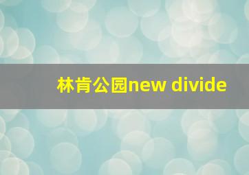 林肯公园new divide